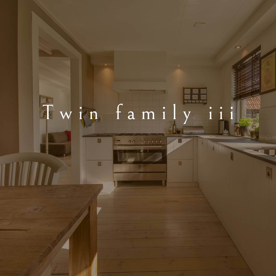 Twin family iii