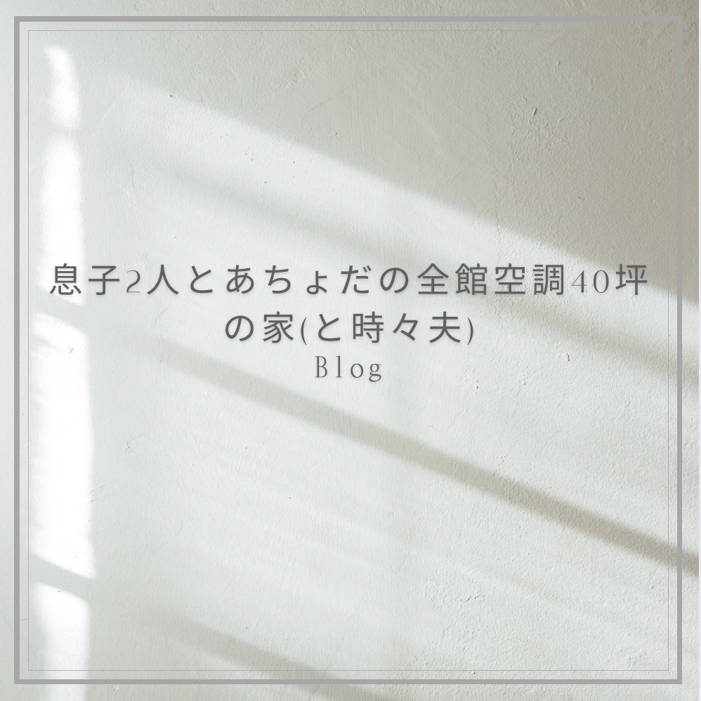 三井ホームで家を建てる前に読んでおくべきブログ:息子2人とあちょだの全館空調40坪の家(と時々夫)